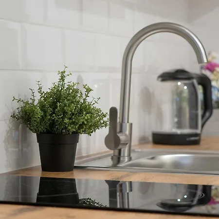 Apartment Elegant In The Centre Of By Renters *